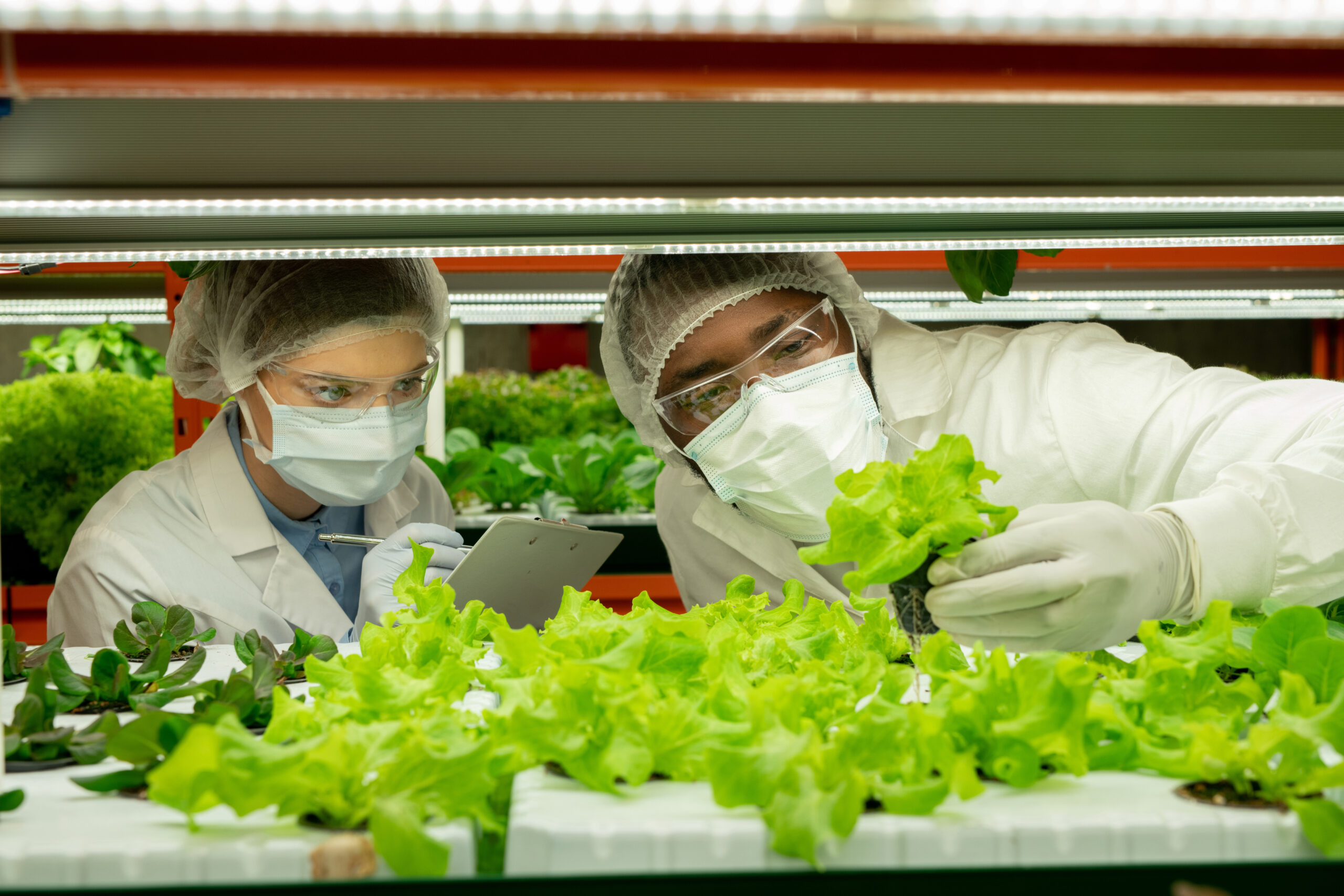 Inspection for Food Safety Food Safety Inspection